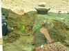 Excavacin paleontolgica en el Yacimiento Ana